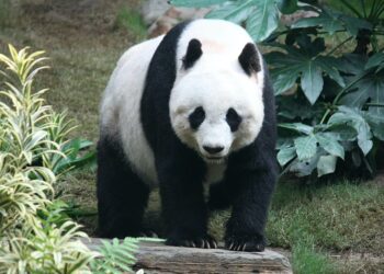 WWF стартира дигитален информационен център за устойчиви бизнес решения