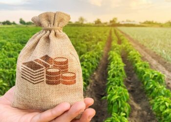 KKR обмисля да създаде първия ESG кредитен фонд