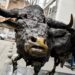 Българската фондова борса създава ESG индекс