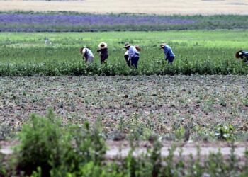 Горещите вълни са убили 61 000 души в Европа миналата година