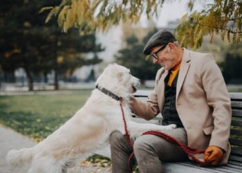 Живеенето до парк може да забави биологичното стареене