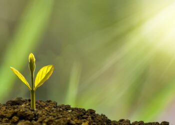 Огромни пари текат към ESG фондовете, но липсва прозрачно отчитане