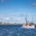 Европейската комисия установява възможностите за риболов в Балтийско море