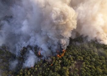 Световната банка ще бъде попечител на фонд за загуби и щети от климатични бедствия