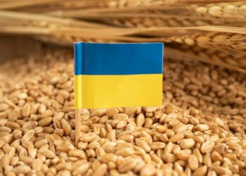 Френските производители на зърно подкрепят призива на Източна Европа срещу украинския внос