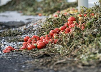хранителни отпадъци