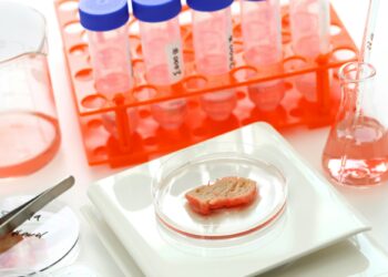 cultured meat making image, lab grown meat concept