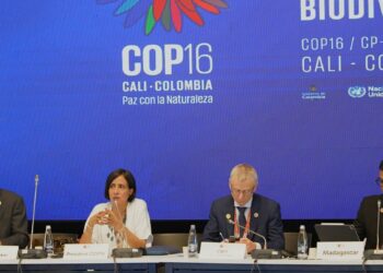 COP16