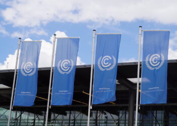 COP29