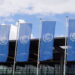 COP29