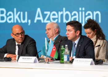 COP29