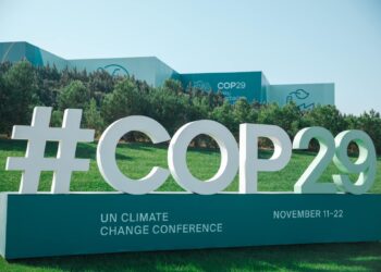 COP29