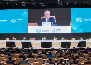 COP29