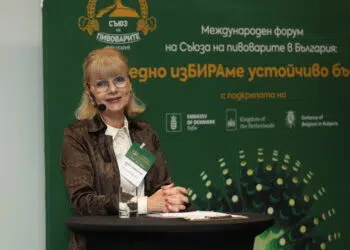 Ивана Радомирова: Депозитната система не търпи повече отлагане
