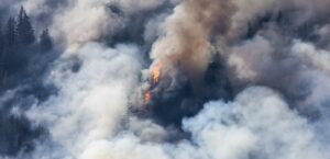 Пожарите във Франция и Испания излагат милиони хора на опасно замърсен въздух 2 пожари
